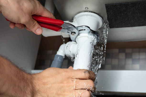 Best Carpet water damage restoration  in Mattawan, MI