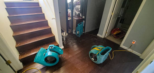 Best Local water damage restoration  in Mattawan, MI
