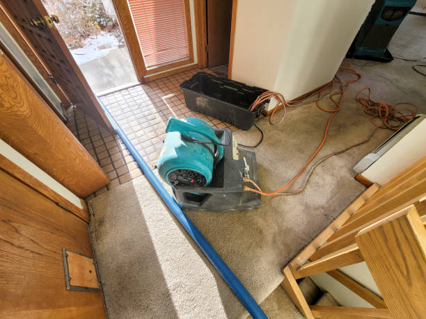 Best 24/7 water damage repair  in Mattawan, MI
