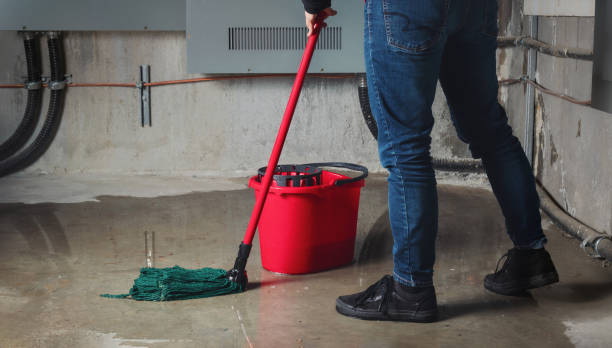 Best Mold removal after water damage  in Mattawan, MI