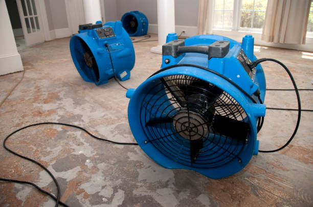Best Commercial water damage restoration  in Mattawan, MI