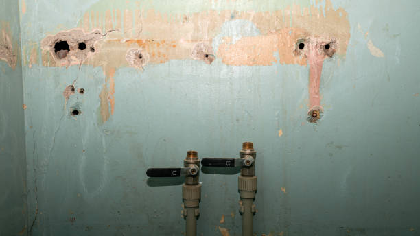 Best 24-hour water damage restoration  in Mattawan, MI