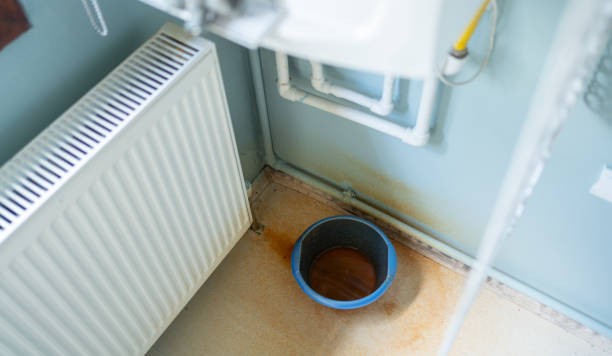 Best Water damage repair service  in Mattawan, MI