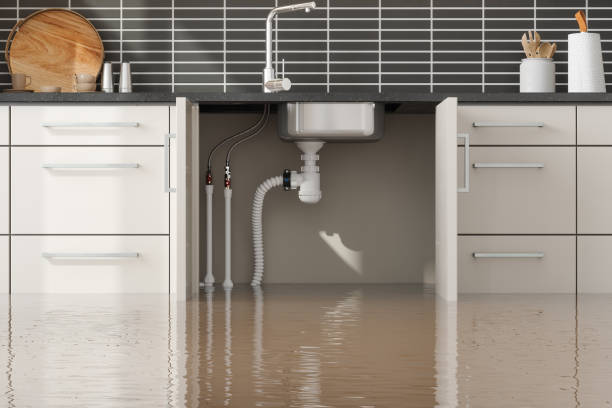 Best Flood damage cleanup  in Mattawan, MI