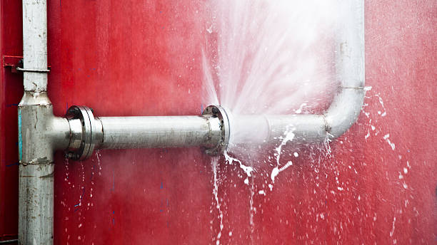 Best Flood damage cleanup  in Mattawan, MI